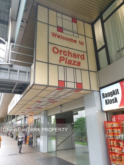 Orchard Plaza (D9), Retail #196359972
